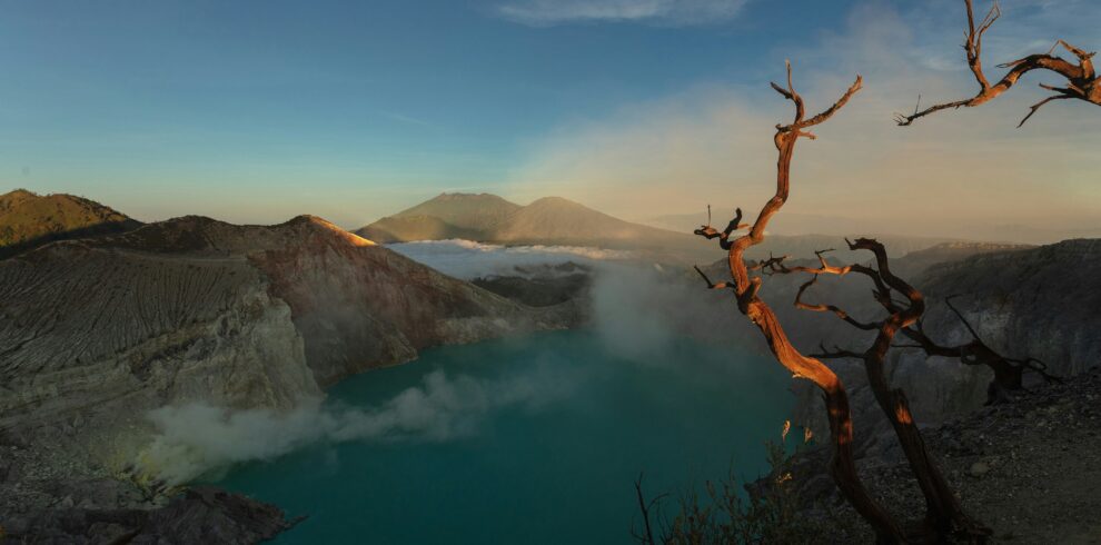 Scenic view of Kawah Ijen at sunset, with the vibrant teal lake reflecting the golden hues of the evening sky, and a lone dry tree standing against the dramatic landscape.