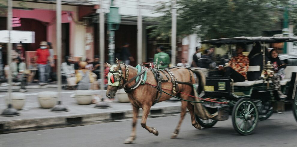 A traditional delman (horse-drawn carriage) on Malioboro Street, with a decorated horse and colorful carriage, surrounded by bustling tourists and shops.