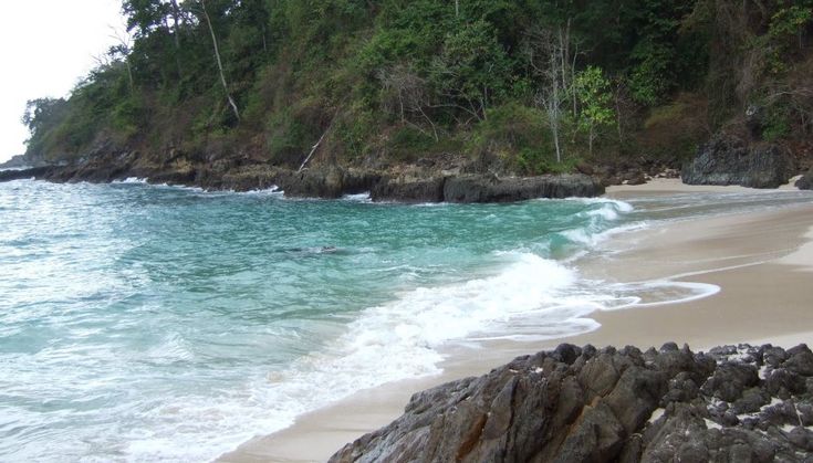 Serene view of Sukamade Beach with its untouched, empty shore, featuring soft waves gently lapping against the sand and surrounded by lush greenery and clear skies.