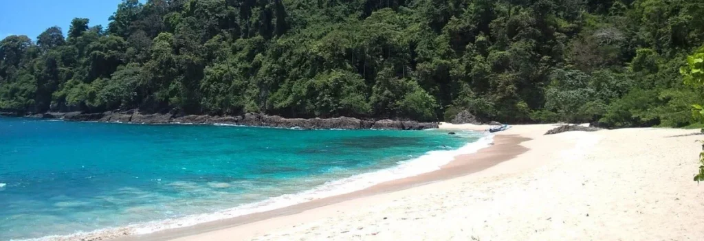 Scenic view of the turquoise waters and lush green hills at Green Bay (Teluk Hijau) in Banyuwangi, Indonesia